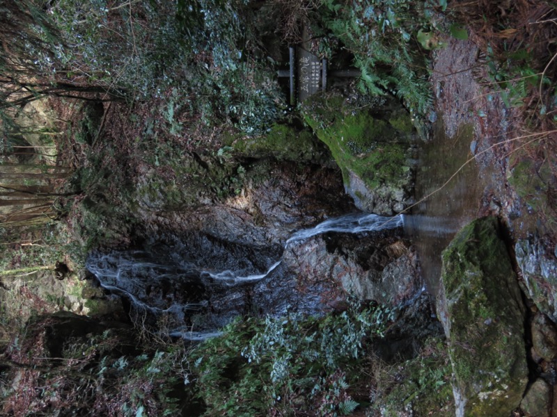 日和田山、物見山